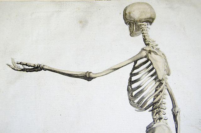skeleton-and-servos-by-liverpoolhls
