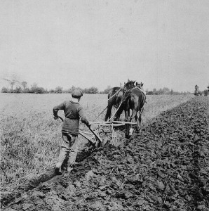 Boy Plowing by Library of Canada
